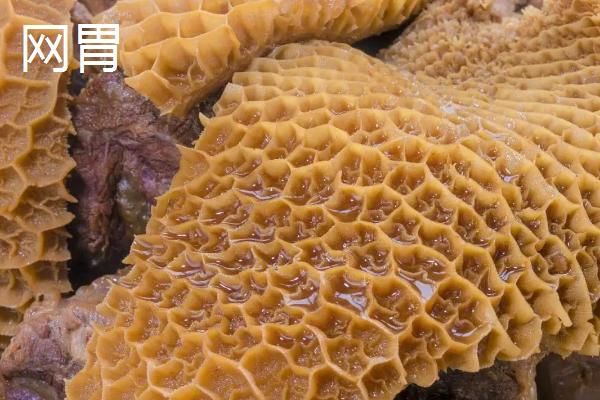 牛有几个胃分别是什么，哪个才是真正的胃