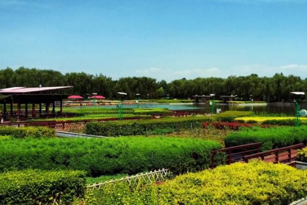 现代农业发展模式主要包括哪些