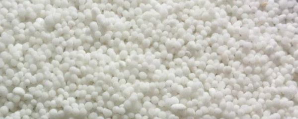 尿素除草浓度技术,多长时间可以见效