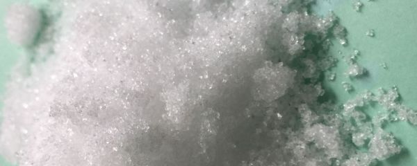 钾肥对茶树的作用