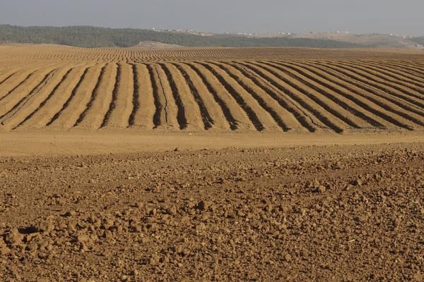 现代农业发展模式主要包括哪些