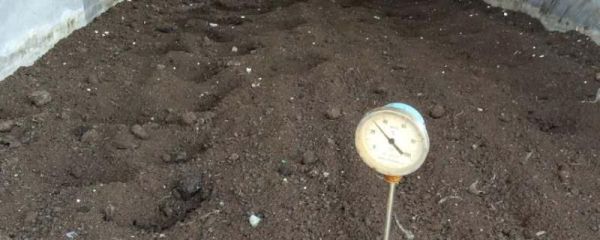 自制有机肥快速发酵方法,芝麻饼可以直接撒土里做肥料吗