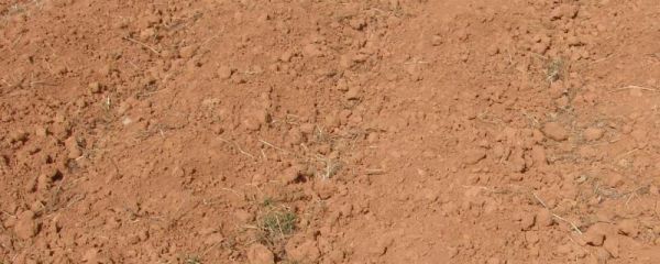 砂质土与黏质土的肥力特点有何不同?如何改良土壤质地?