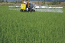 高盖除草剂使用范围 抗性稗草用什么除草剂