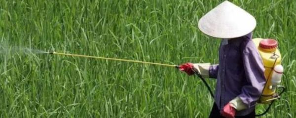 有机氯农药的特点,对人体有什么危害