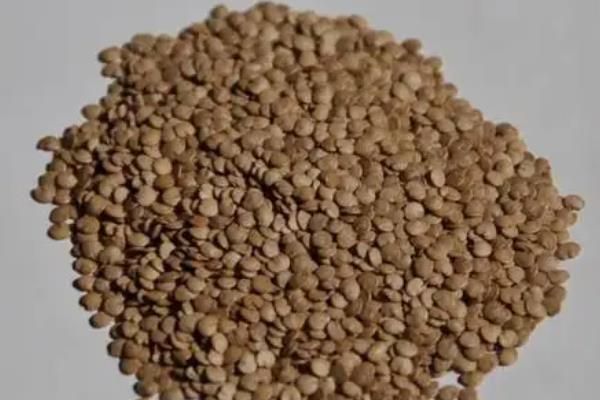 露地茄子种植管理技术,种植茄子一亩利润多少