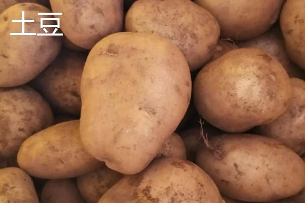 番薯是土豆还是红薯