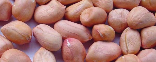 花生拌种药有哪几种