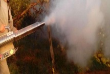 弥雾机怎么兑水和药 和打药泵哪个好