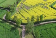 生态农业的发展历程包括 生态农业与有机农业的区别