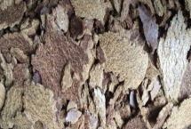 菜籽饼怎样发酵成有机肥 菜籽饼的营养成分 菜籽饼怎样发酵成有机肥 菜籽饼的营养成分