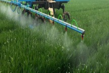 氟吡甲禾灵除草剂的特点 和精喹禾灵有什么区别