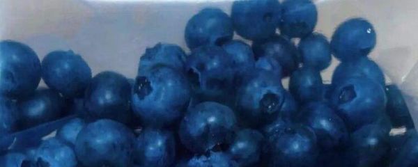 蓝莓储存保鲜方法，保存期限是多久