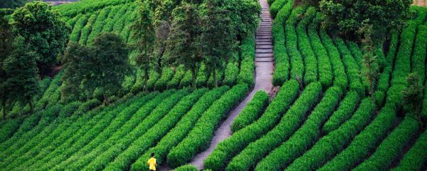 基本农田建养殖场手续